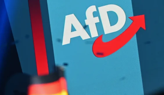 Industrieverband warnt vor wirtschaftlichen Nachteilen durch AfD-Regierung