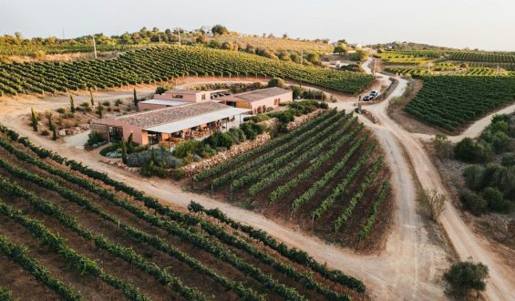 Wie engagiere Winzer und die Negra Mole die Algarve verändern