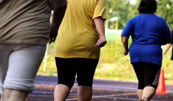 Warum Abnehmen so schwierig ist: Die körperlichen Widerstände