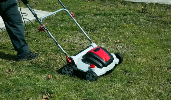 Rasenpflege vor dem Winter: Warum jetzt vertikutieren?