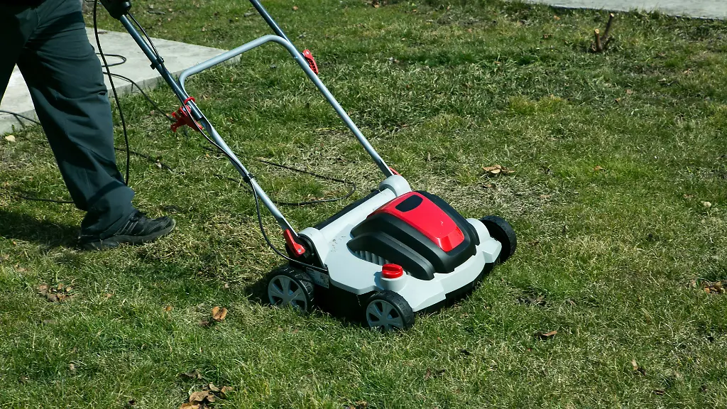 Rasenpflege vor dem Winter: Warum jetzt vertikutieren?