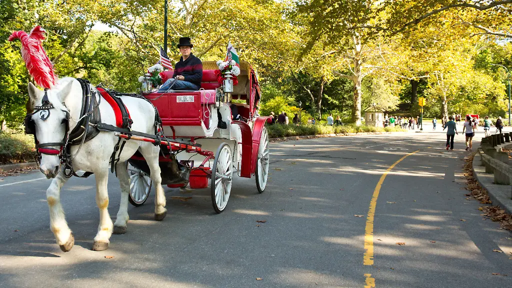 New Yorker Central Park: Verbot von Pferdekutschen