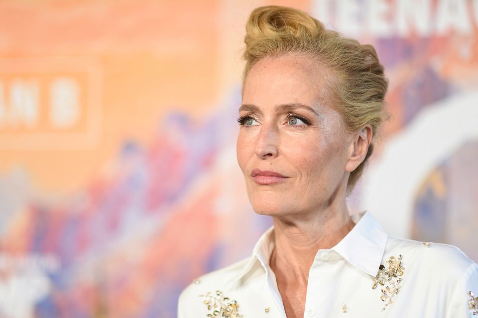 Gillian Anderson fordert Distanz von Fans