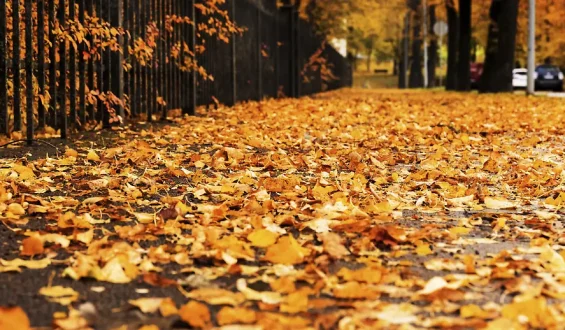 Veränderungen im Oktober: Was Verbraucher erwartet