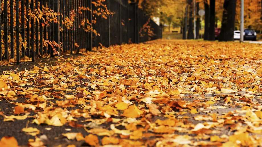 Veränderungen im Oktober: Was Verbraucher erwartet