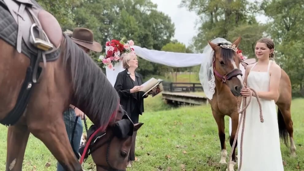 Pferdehochzeit: Eddie und Annie geben sich das Ja-Wort