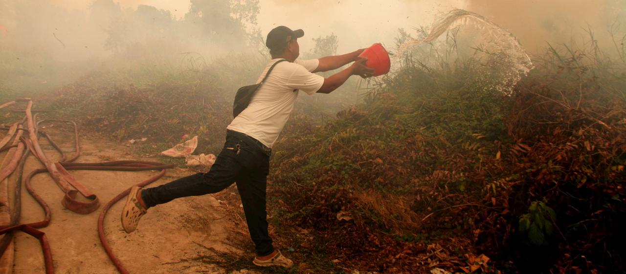 Massive Waldbrände in Indonesien und ihre internationalen Auswirkungen